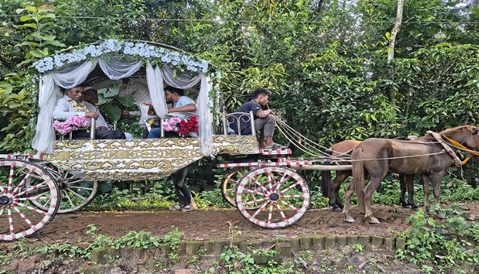 ৩৭ বছরের শিক্ষকতা, ঘোড়ার গাড়িতে রাজকীয় বিদায়
